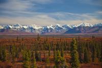 Alaskan Tundra at Denali Highway #8
